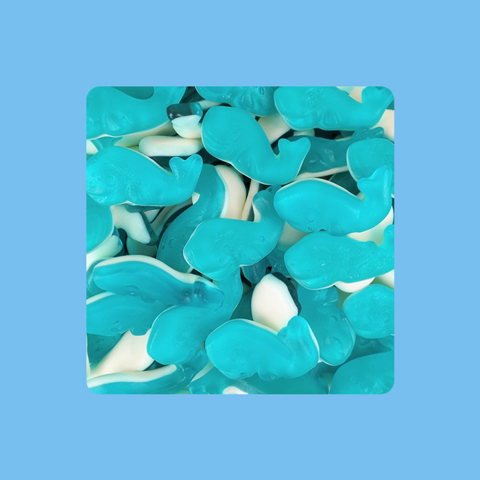 Baleine Pierrot Gourmand 2 kg