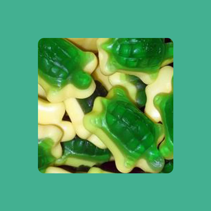 Tortue verte jaune Pierrot Gourmand 2 kg